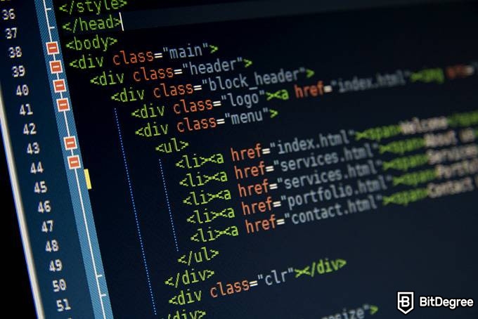 What is a web developer: HTML code